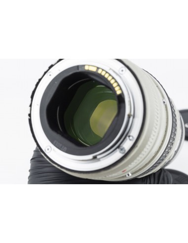Canon EF 70-200mm 1:2.8 L IS USM