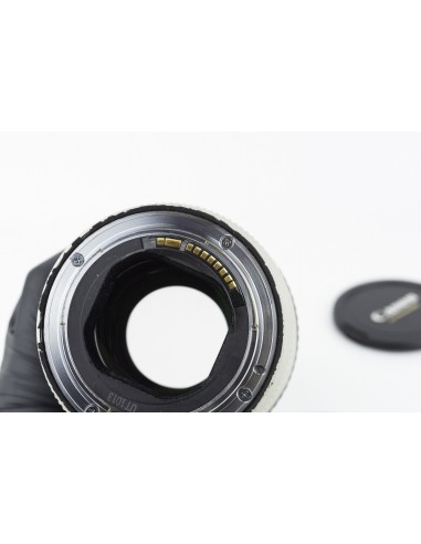 Canon EF 70-200mm 1:2.8 L IS USM