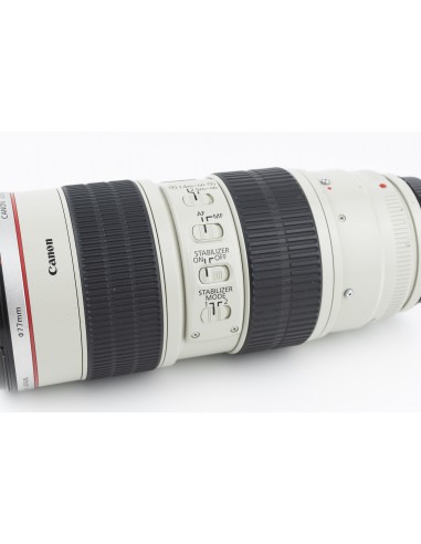 Canon EF 70-200mm 1:2.8 L IS USM