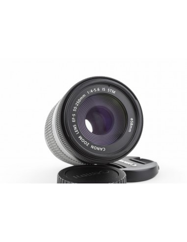 Canon EF-S 55-250mm 1:4.5-5.6 IS STM