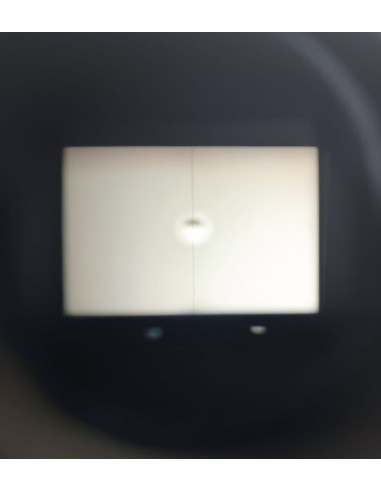 Nikon F2 Photomic AS DP-12