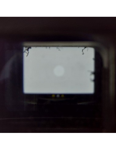 Nikkormat FT3