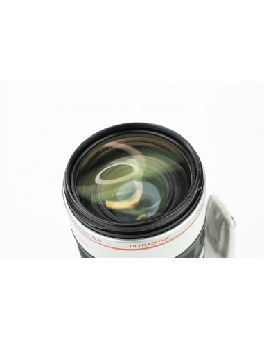 Canon EF 35-350mm 1:3.5-5.6 L USM